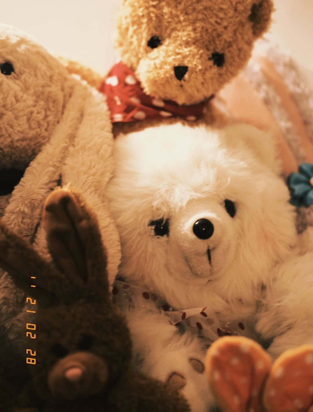 image_3