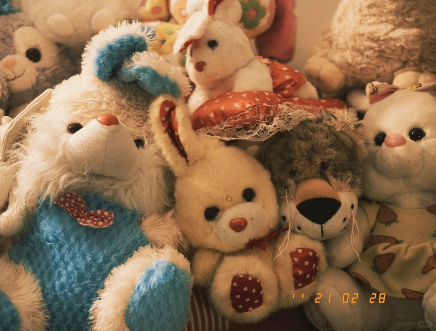 image_4