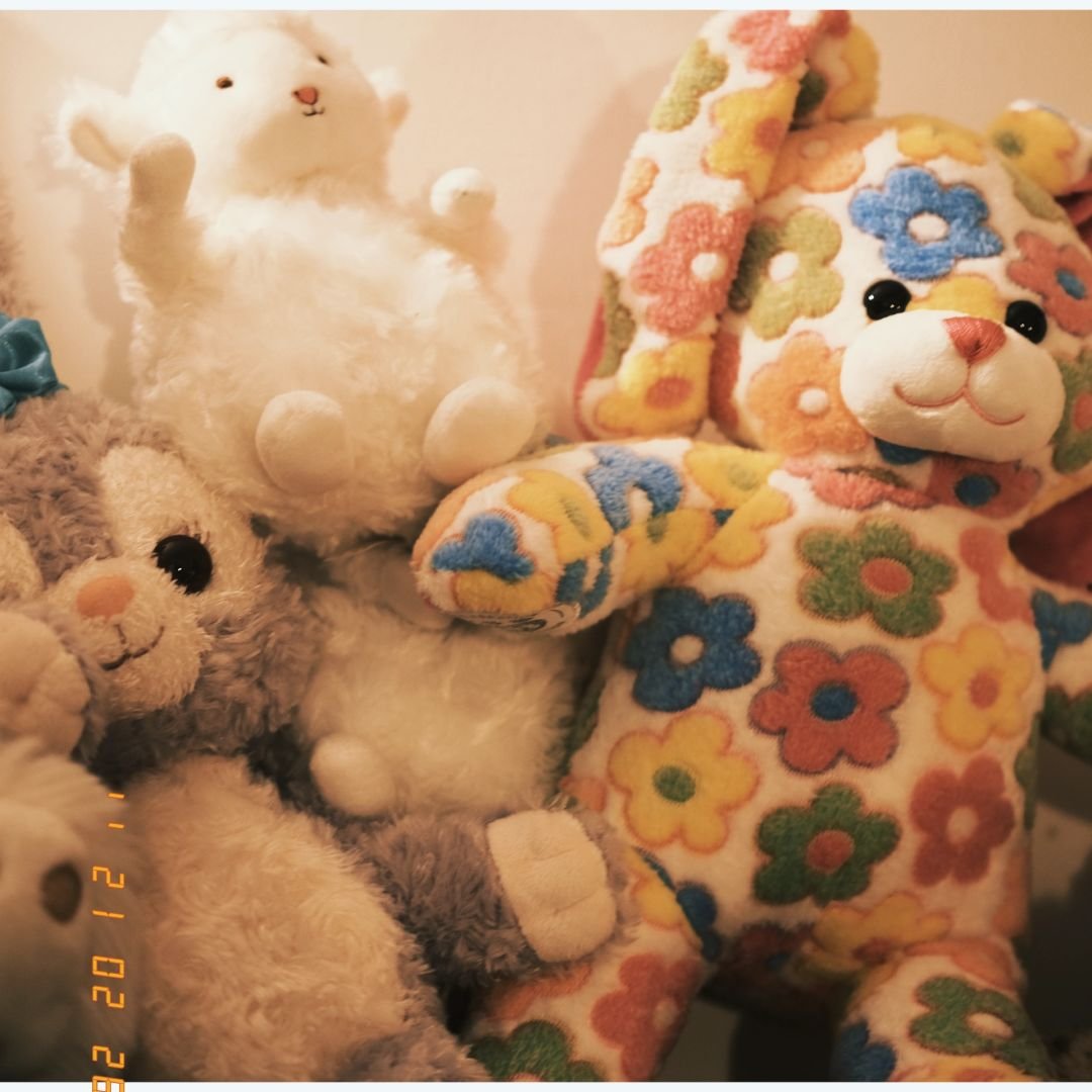 image_6